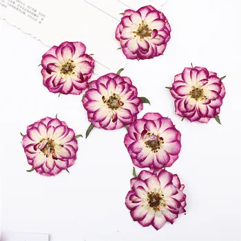 12pcs/Daug Džiovintų Gėlių Bicolor Gamtos Paspaudus Didelis Rose Augalų Epoksidinės Dervos Pakabukas Papuošalai Priėmimo Amatų 