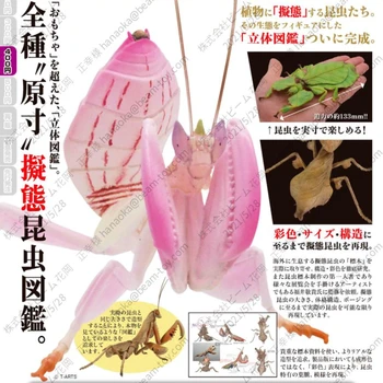 Japonija T-MENAI Vabalas Modeliavimas Walkingstick Klijuoti Vabzdžių Mantis Šimtakojis Pirminių Spalvų Imituoti Vabzdžių PVC Kapsulė Žaislai Modelis