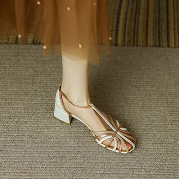 Sandalai Storas Kulnas Romos Batai Naujas Diržas Tuščiaviduriai Kulno Vasaros Moterų Modelių Sandale Femme Šiuolaikinės Sandalai Šalies Šokių Bateliai