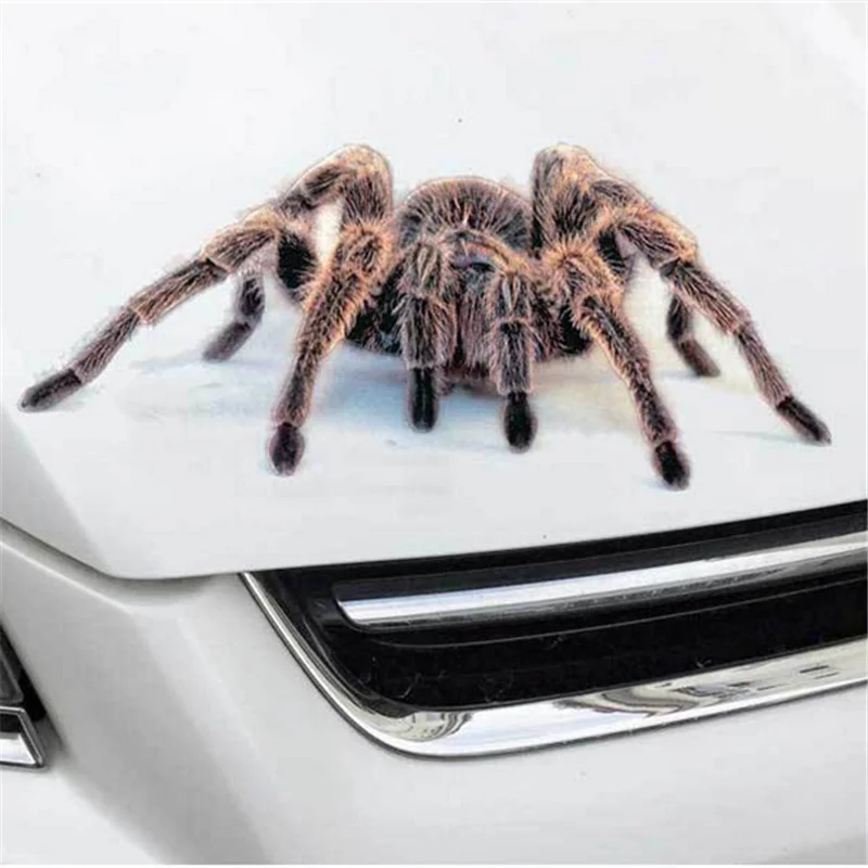 3D automobilių lipdukas voras, driežas skorpionas optikos gyvūnų lipdukas, skirtas Chevrolet Cruze TRAX Aveo Sonic Lova Plaukti EPICA Captiva Malibu Nuotrauka 2